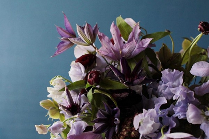 flores-purpura1